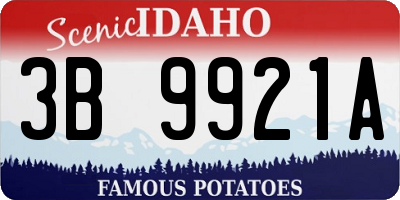 ID license plate 3B9921A