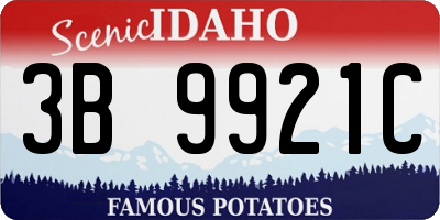 ID license plate 3B9921C