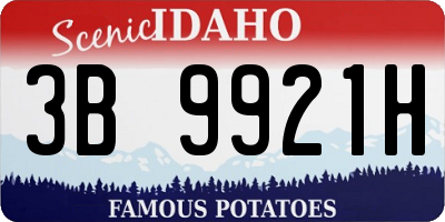 ID license plate 3B9921H