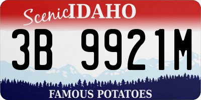 ID license plate 3B9921M