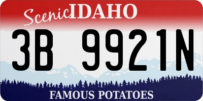 ID license plate 3B9921N