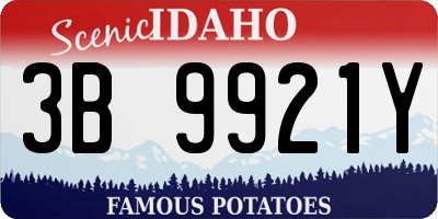 ID license plate 3B9921Y