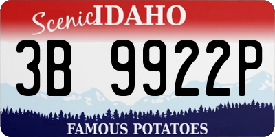 ID license plate 3B9922P