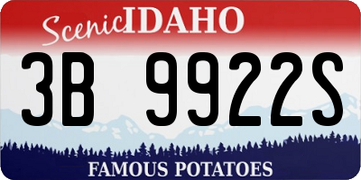ID license plate 3B9922S