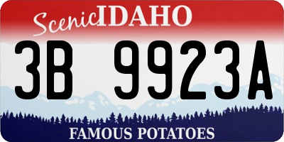 ID license plate 3B9923A