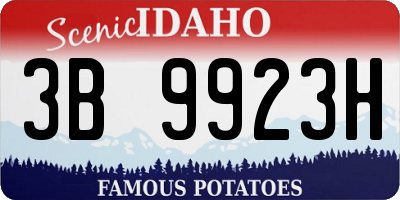ID license plate 3B9923H