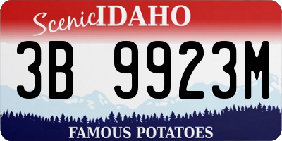 ID license plate 3B9923M