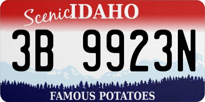 ID license plate 3B9923N