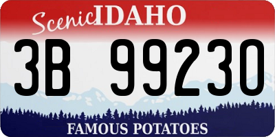 ID license plate 3B9923O