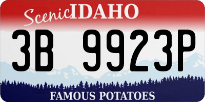 ID license plate 3B9923P