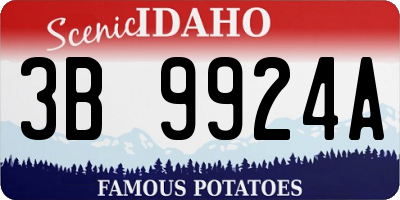 ID license plate 3B9924A