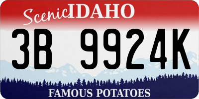 ID license plate 3B9924K