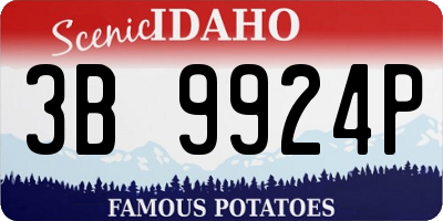 ID license plate 3B9924P