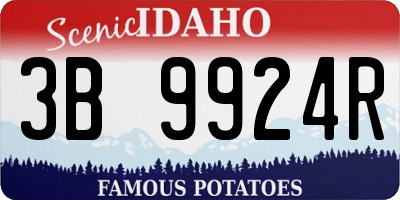 ID license plate 3B9924R