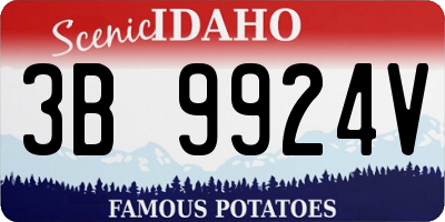 ID license plate 3B9924V