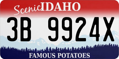 ID license plate 3B9924X