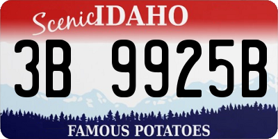ID license plate 3B9925B