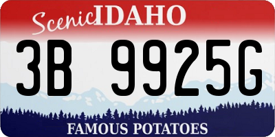 ID license plate 3B9925G