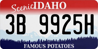 ID license plate 3B9925H