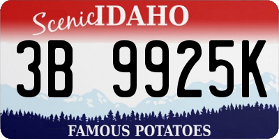 ID license plate 3B9925K