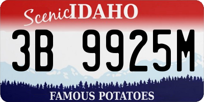 ID license plate 3B9925M