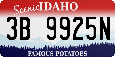 ID license plate 3B9925N