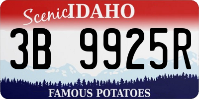 ID license plate 3B9925R