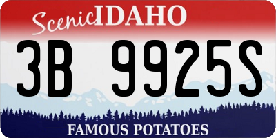 ID license plate 3B9925S
