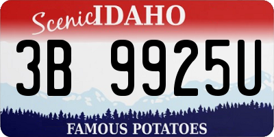 ID license plate 3B9925U