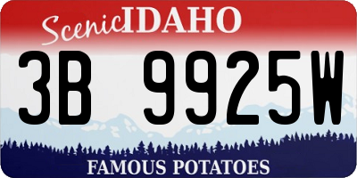 ID license plate 3B9925W