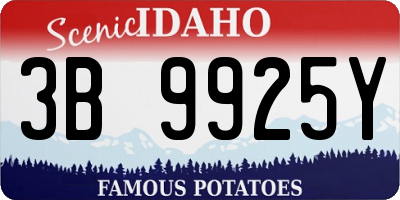 ID license plate 3B9925Y