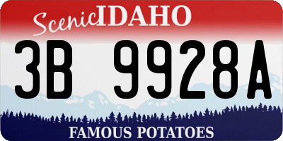 ID license plate 3B9928A