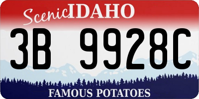 ID license plate 3B9928C