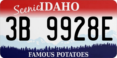 ID license plate 3B9928E