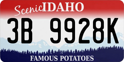 ID license plate 3B9928K