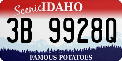ID license plate 3B9928Q