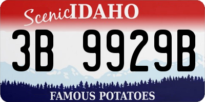 ID license plate 3B9929B