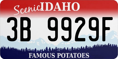 ID license plate 3B9929F