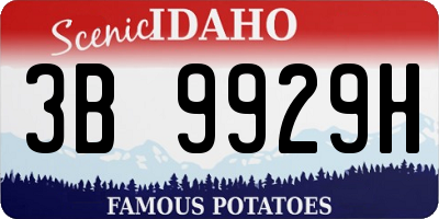 ID license plate 3B9929H