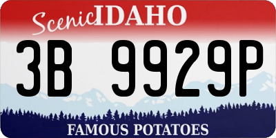 ID license plate 3B9929P