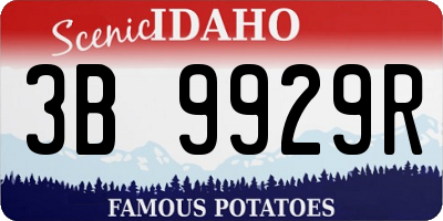 ID license plate 3B9929R