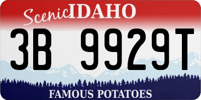 ID license plate 3B9929T