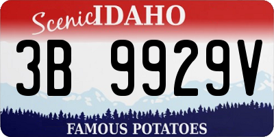 ID license plate 3B9929V