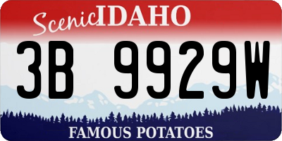 ID license plate 3B9929W