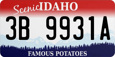 ID license plate 3B9931A