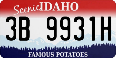ID license plate 3B9931H