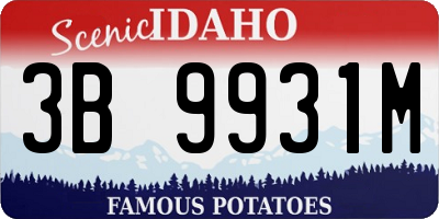 ID license plate 3B9931M