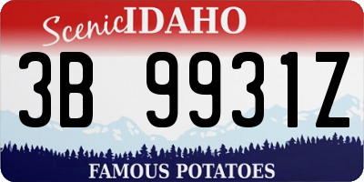 ID license plate 3B9931Z