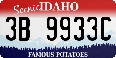 ID license plate 3B9933C