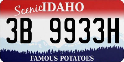 ID license plate 3B9933H